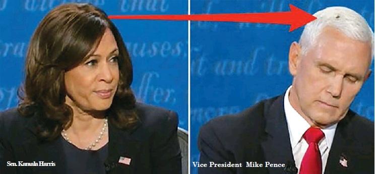 Harris, Pence Spar Over Economy and Race in VP Debate
