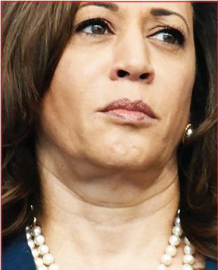 Mental Illness or Hate? Why Texas Man Targeted VP Kamala Harris