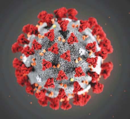 Jackson County’s public order will go into effect Monday and is in response to the rising number of COVID-19 infections and hospitalizations due, in part, to the highly-contagious Delta variant and our region’s low vaccination rates according to Jackson County Executive Frank White.