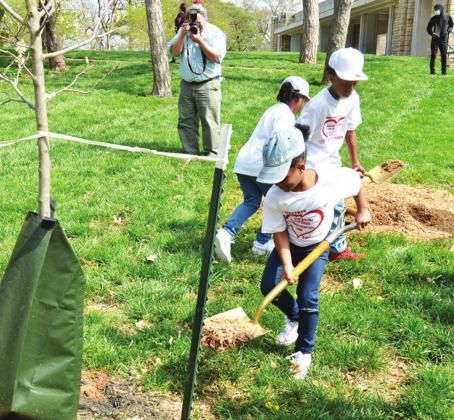 The late Harold and Mary Chaney were key leaders in Kansas City park system for decades. A serviceberry tree was planted in their honor at the city’s Arbor Day observance in Loose Park. Their family members celebrated and placed mulch around the tree. Photos/Bill Graham, Missouri Department of Conservation
