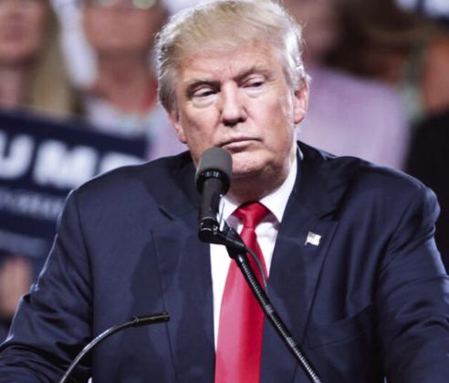 Former President Donald Trump (photo: Gage Skidmore via Wikimedia Commons)