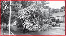 website photo