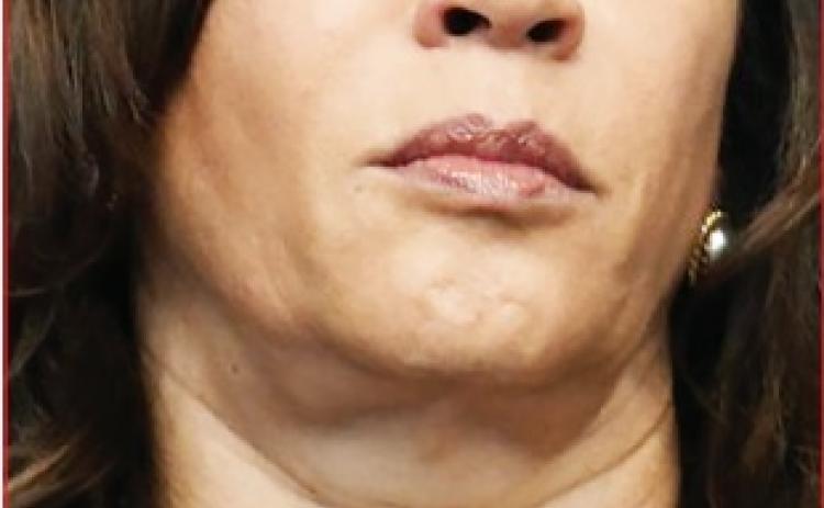 Mental Illness or Hate? Why Texas Man Targeted VP Kamala Harris