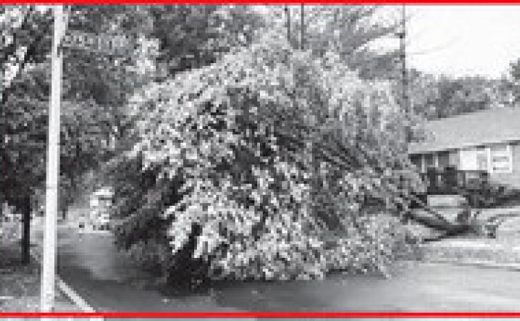 website photo