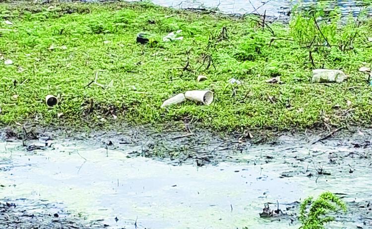 This photo shows trash and debris amid murky water in Brush Creek, east of Troost, the site of today’s faith leaders’ march and rally. Submitted photo